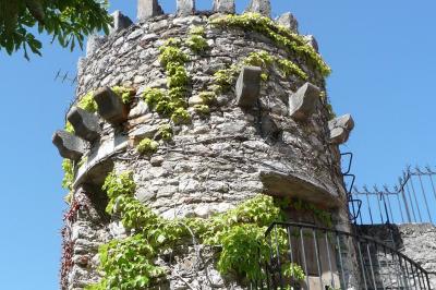 Table en pierre sous une voûte en pierre, avec un pot de fleurs et des outils anciens accrochés au mur.