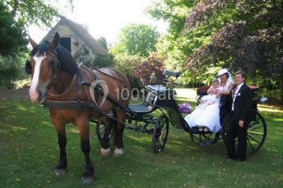 Location salle Villers-Canivet (Calvados) - Abbaye De Villers-canivet #24