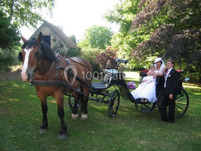 Location salle Villers-Canivet (Calvados) - Abbaye De Villers-canivet #5