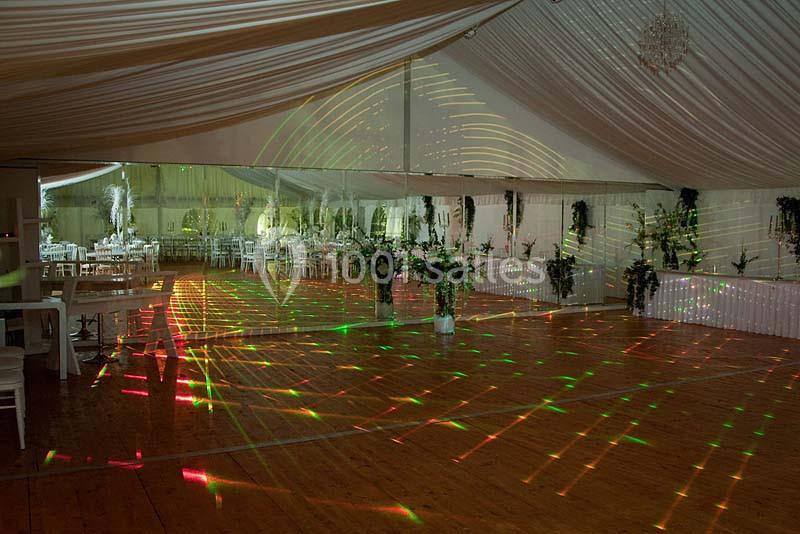 Salle de réception décorée avec des plantes et éclairée par des lumières colorées projetées sur le sol en bois.