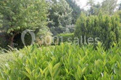 Location salle Marolles-en-Brie (Val-de-Marne) - Le Jardin De Marolles #19