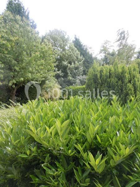 Location salle Marolles-en-Brie (Val-de-Marne) - Le Jardin De Marolles #19