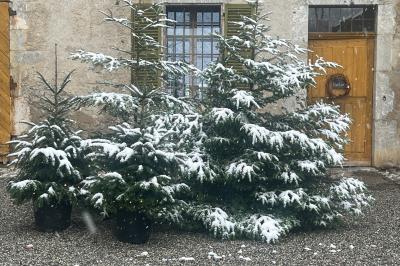 Location salle Giez (Haute-Savoie) - Ferme de Gy #20