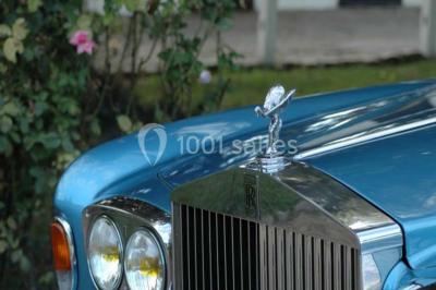 Paysage de coucher de soleil avec des arbres en silhouette, surmonté d'un logo d'équitation et d'informations de contact.