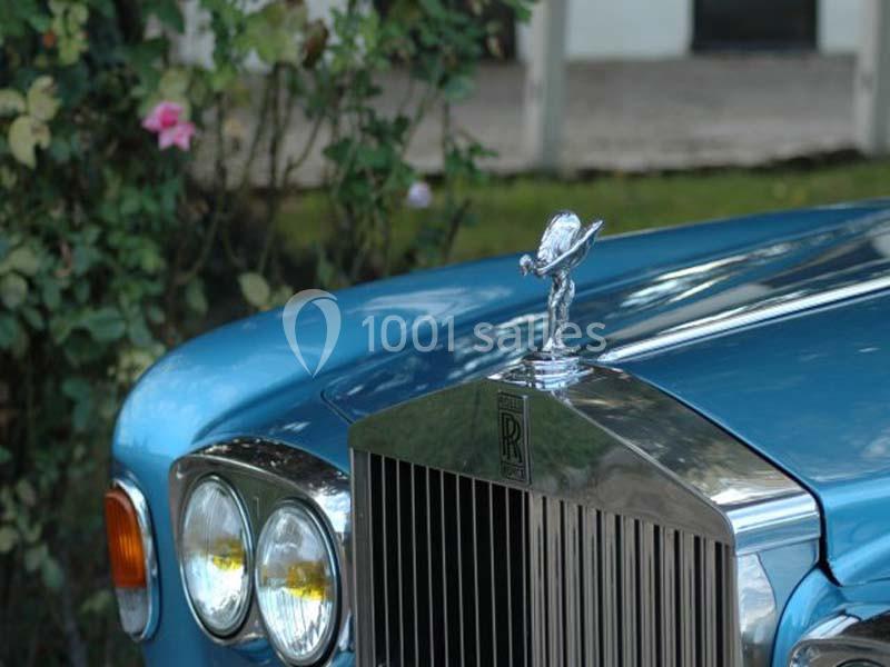 Calandre d'une voiture classique bleue avec emblème argenté, devant un jardin fleuri.