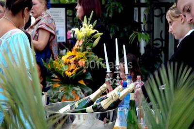 Paysage de coucher de soleil avec des arbres en silhouette, surmonté d'un logo d'équitation et d'informations de contact.