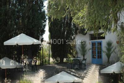 Paysage de coucher de soleil avec des arbres en silhouette, surmonté d'un logo d'équitation et d'informations de contact.