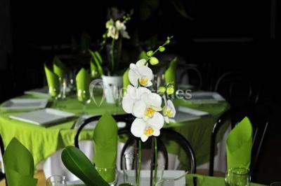 Paysage de coucher de soleil avec des arbres en silhouette, surmonté d'un logo d'équitation et d'informations de contact.