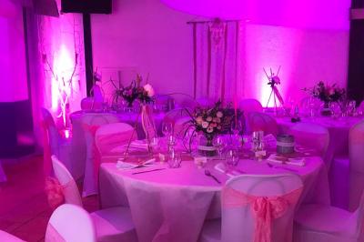 Paysage de coucher de soleil avec des arbres en silhouette, surmonté d'un logo d'équitation et d'informations de contact.