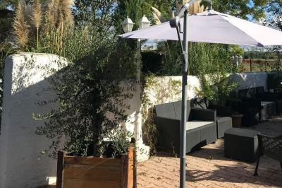 Paysage de coucher de soleil avec des arbres en silhouette, surmonté d'un logo d'équitation et d'informations de contact.