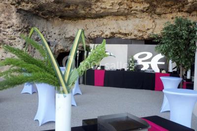 Location salle Châteaudun (Eure-et-Loir) - Les Grottes du Foulon #22