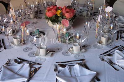 Location salle Pruzilly (Saône-et-Loire) - Château Pruzilly #22