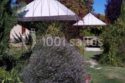 Chaises et tables en fer forgé disposées sous un grand arbre dans un jardin verdoyant, éclairé par la lumière du jour.