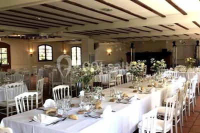 Chaises et tables en fer forgé disposées sous un grand arbre dans un jardin verdoyant, éclairé par la lumière du jour.