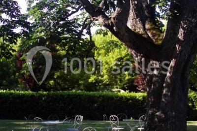 Chaises et tables en fer forgé disposées sous un grand arbre dans un jardin verdoyant, éclairé par la lumière du jour.