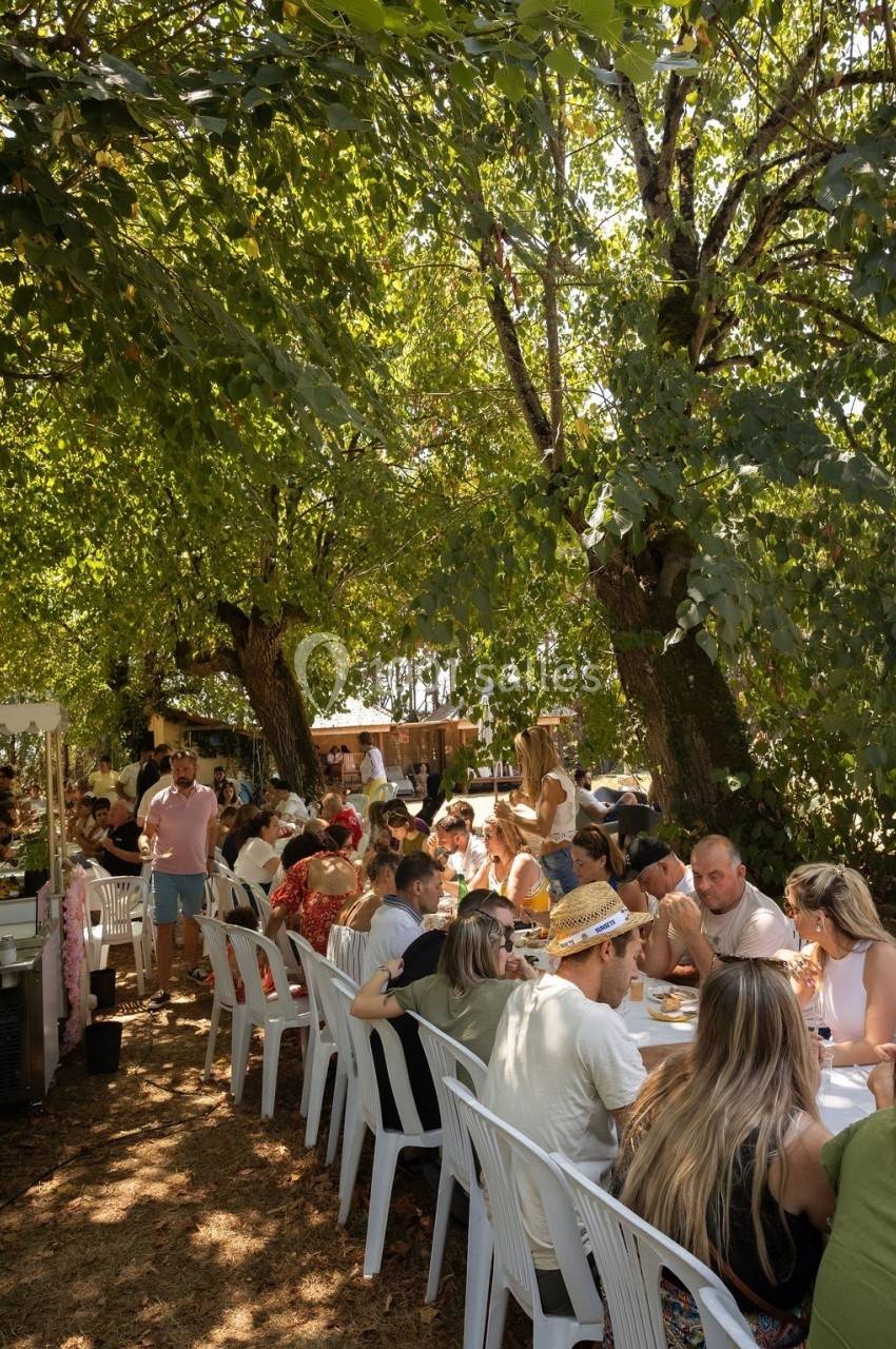Des personnes assises à des tables en plein air sous des arbres, partageant un repas dans une ambiance conviviale.