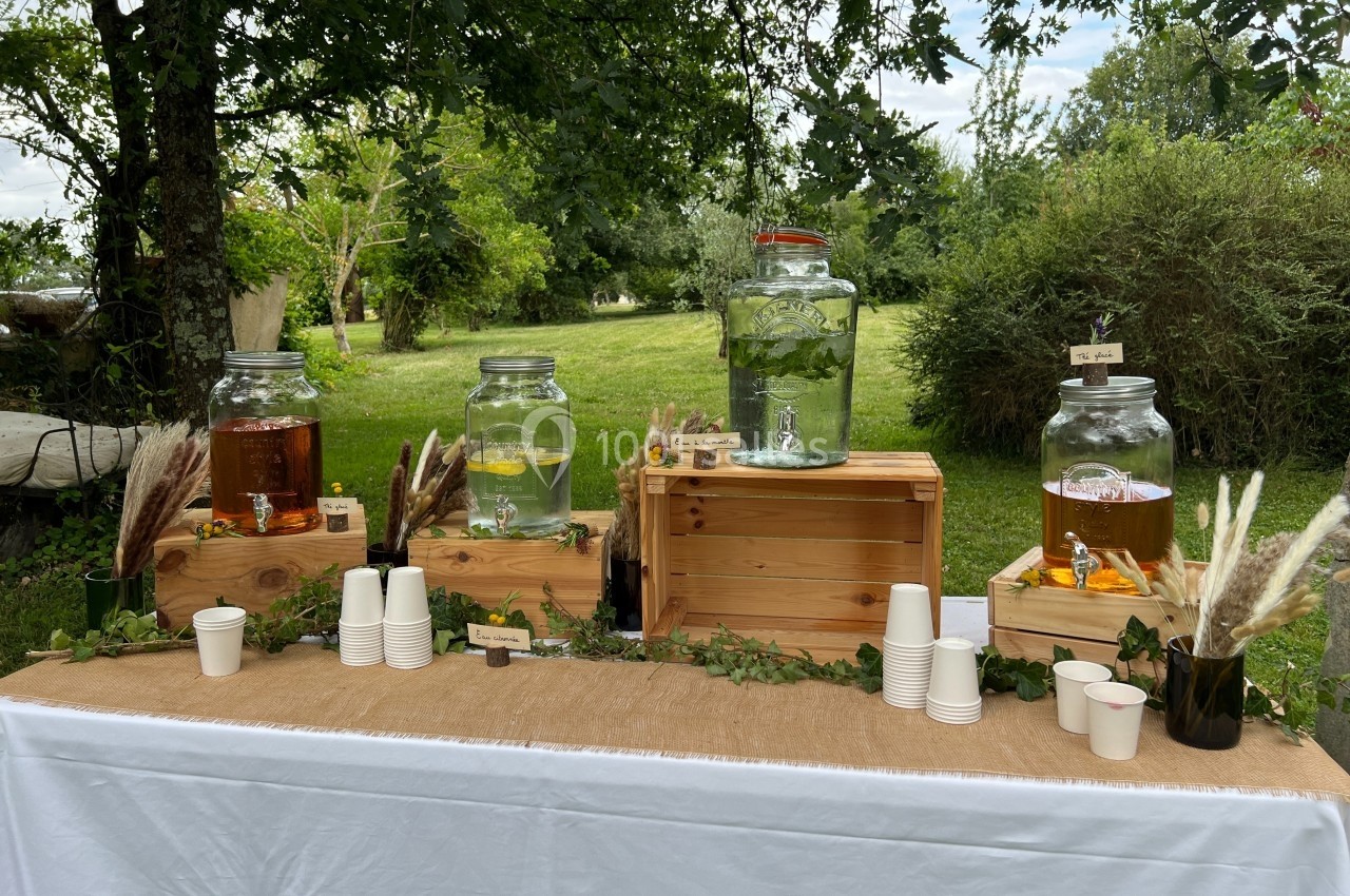 Table avec des boissons infusées en jarres, gobelets en carton et décorations naturelles dans un jardin verdoyant.