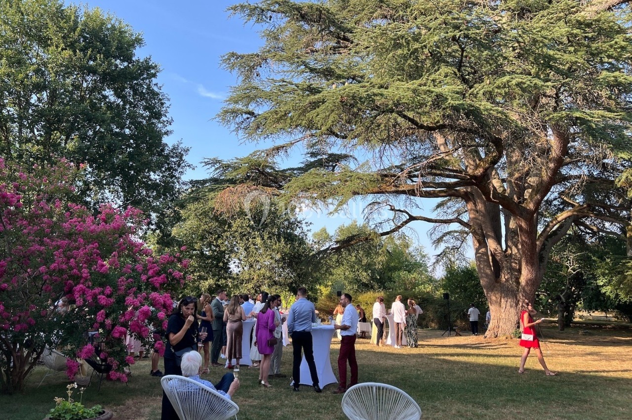 Groupe de personnes discutant dans un jardin sous un grand arbre par une journée ensoleillée.