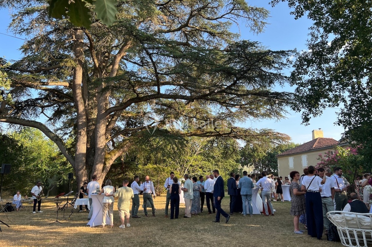Groupe de personnes rassemblées dans un jardin sous un grand arbre par une journée ensoleillée.