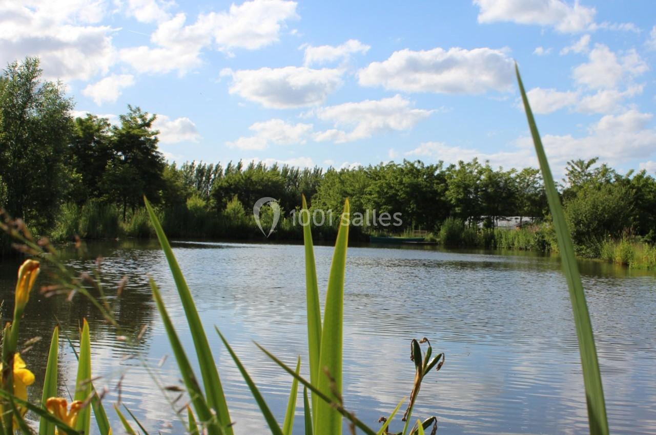 Étang entouré de végétation avec un ciel bleu parsemé de nuages.