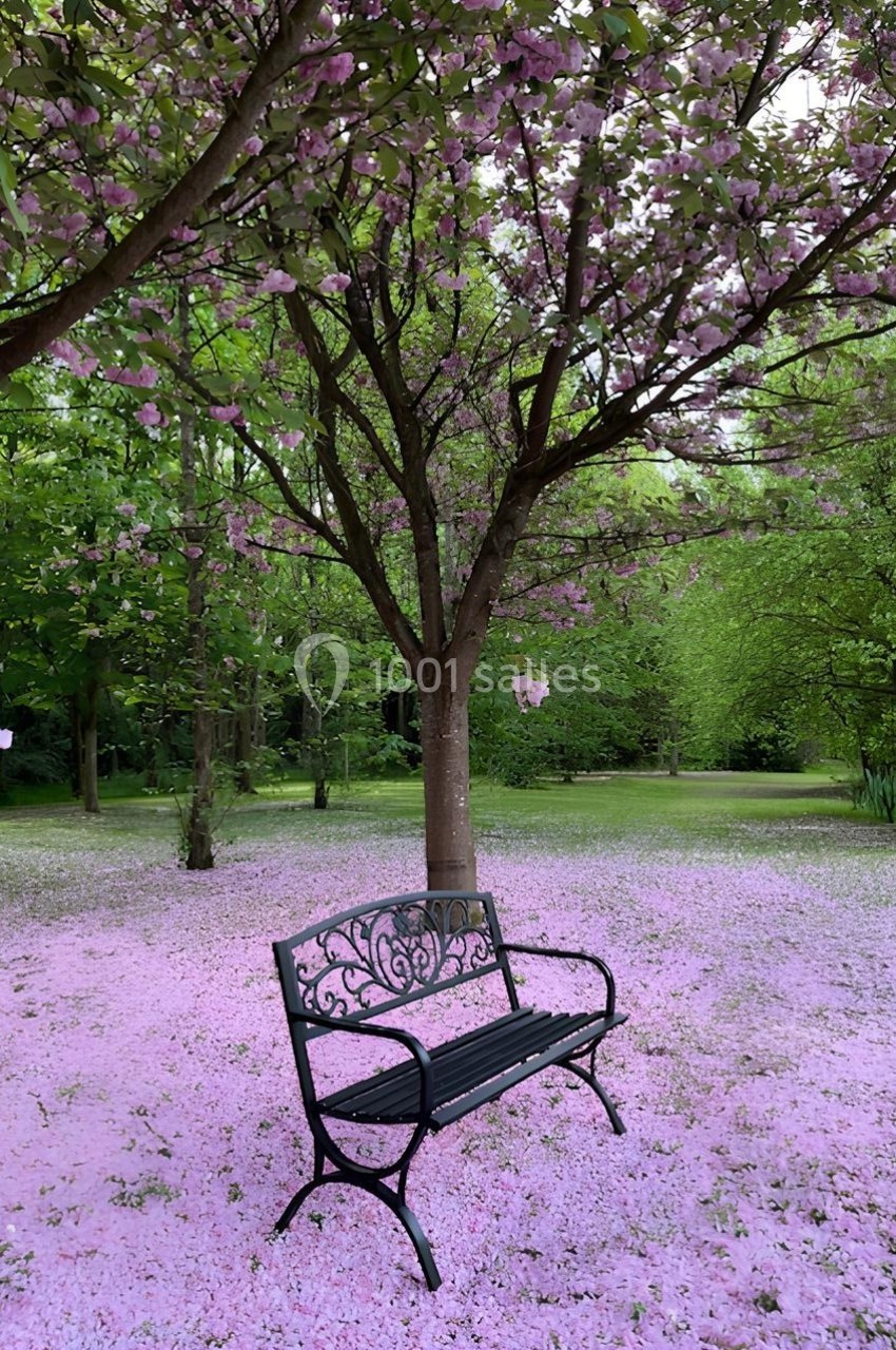 Banc en métal noir sous un arbre en fleurs roses, entouré d'un tapis de pétales dans un parc verdoyant.