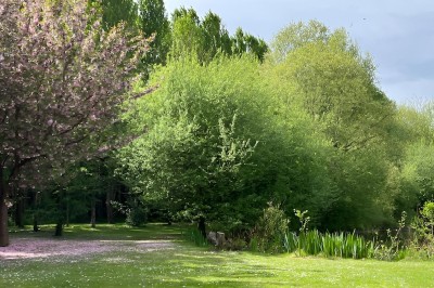 Miniature Location salle Brie-Comte-Robert (Seine-et-Marne) - Domaine de la Gillardière #22 Chambre moderne avec lit double, mur violet, grande fenêtre donnant sur un jardin et sol en carrelage gris.