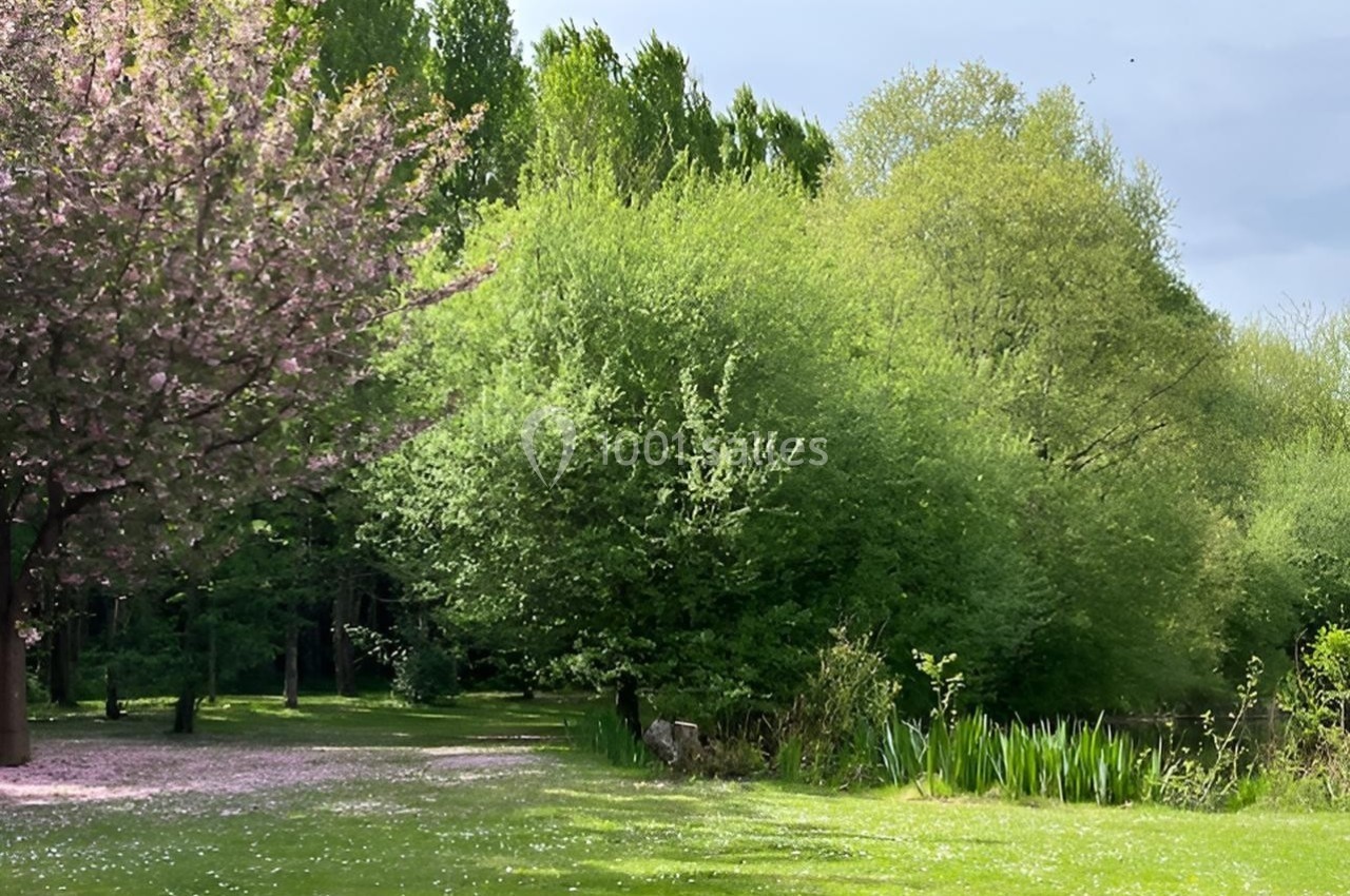 Arbres verdoyants et cerisier en fleurs bordant une pelouse, avec un étang partiellement visible à droite.