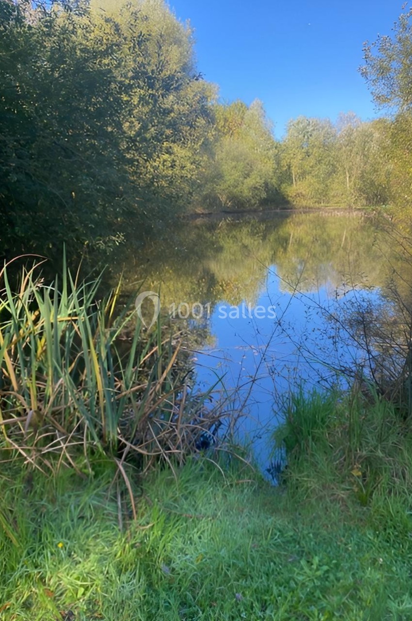 Vue d'un étang entouré de végétation dense avec un ciel bleu reflété dans l'eau calme.