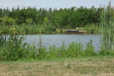 Miniature 2 : Nos Extérieurs Chambre moderne avec lit double, mur violet, grande fenêtre donnant sur un jardin et sol en carrelage gris.