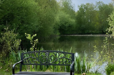Miniature 6 : Nos Extérieurs Chambre moderne avec lit double, mur violet, grande fenêtre donnant sur un jardin et sol en carrelage gris.