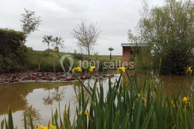 Bouteilles de jus de pomme, pot de confiture et noix disposés sur une nappe rouge à pois, avec un plat vert en arrière-plan.