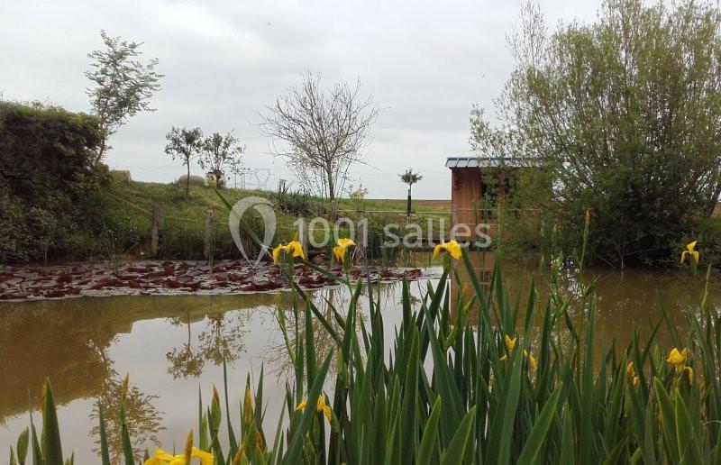 Étang bordé d'iris jaunes, avec une cabane en bois et des arbres sous un ciel nuageux.