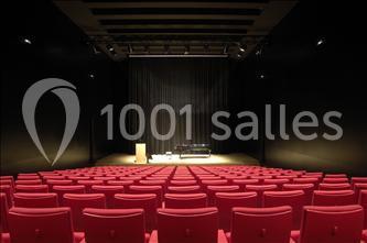 Location salle Erstein (Bas-Rhin) - Musée Wurth France Erstein #4