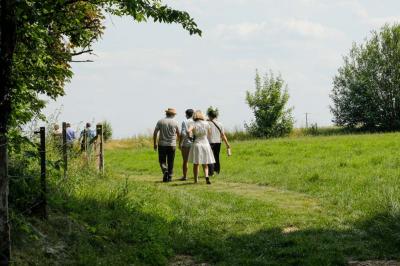 Platines vinyles et disques exposés sur une table en extérieur, avec un jardin verdoyant et un pigeonnier à colombages en…