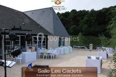 Location salle Artiguelouve (Pyrénées-Atlantiques) - Domaine du Cinquau #68