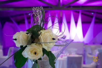 Location salle Artiguelouve (Pyrénées-Atlantiques) - Domaine du Cinquau #68