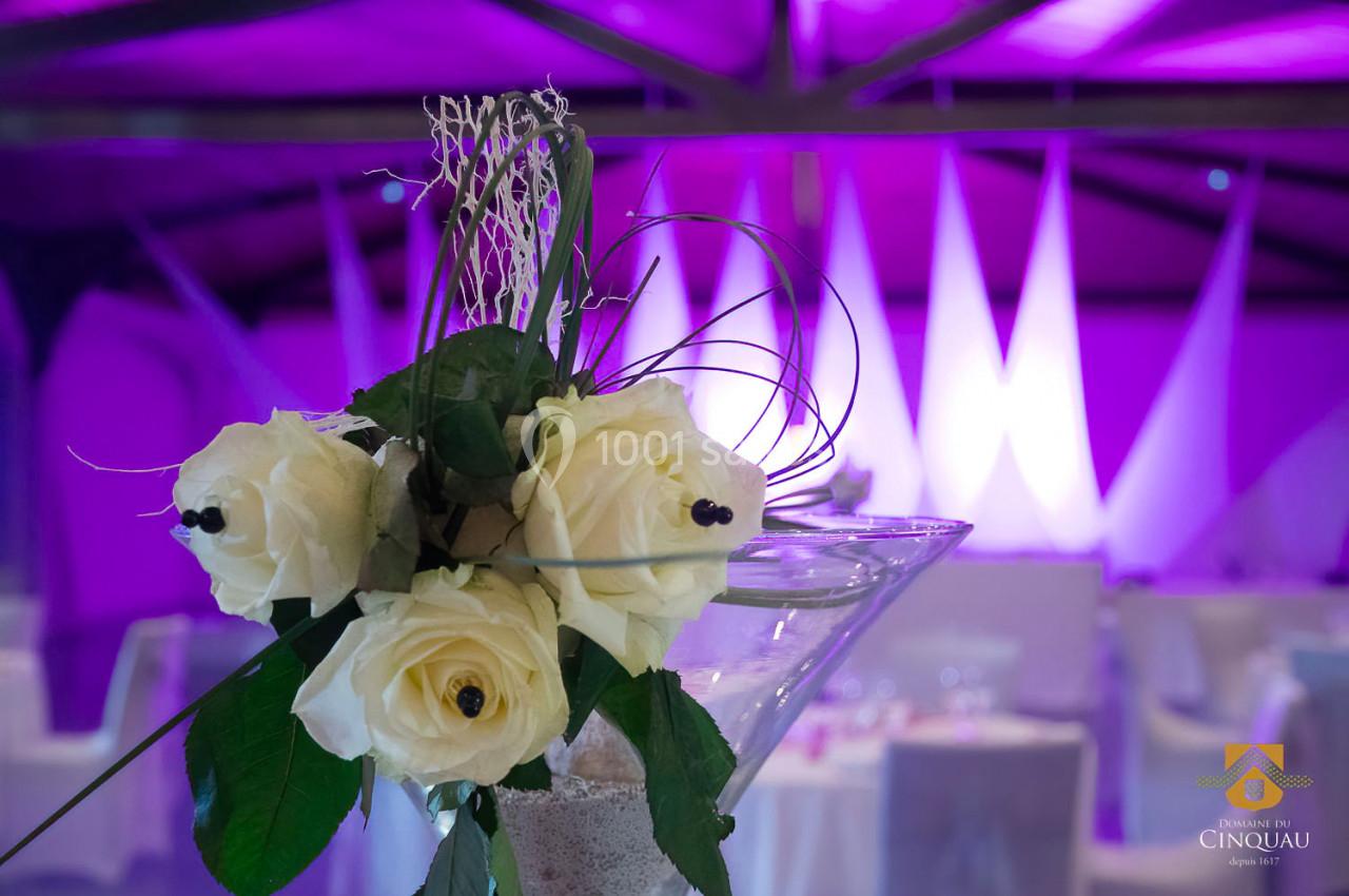 Location salle Artiguelouve (Pyrénées-Atlantiques) - Domaine du Cinquau #41