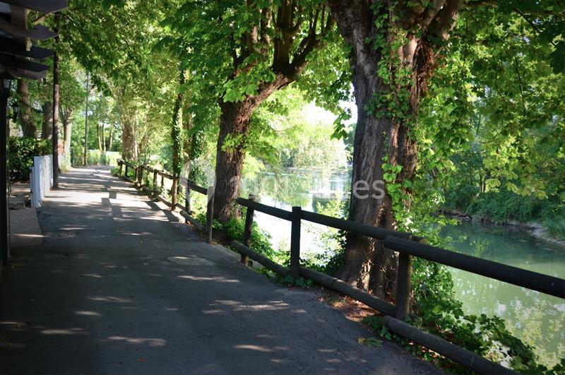 Chemin ombragé bordé d'arbres longeant une rivière calme, avec une barrière en bois sur le côté.
