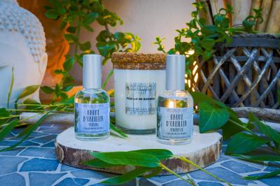 Location salle Aubais (Gard) - La Villa Vicha #24