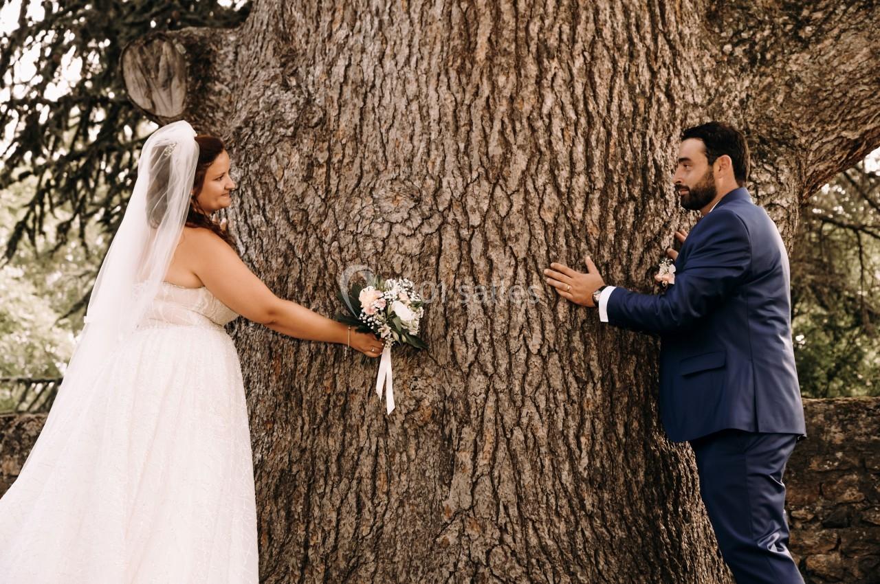 Un couple en tenue de mariage se tient de part et d'autre d'un grand arbre, se regardant avec complicité.