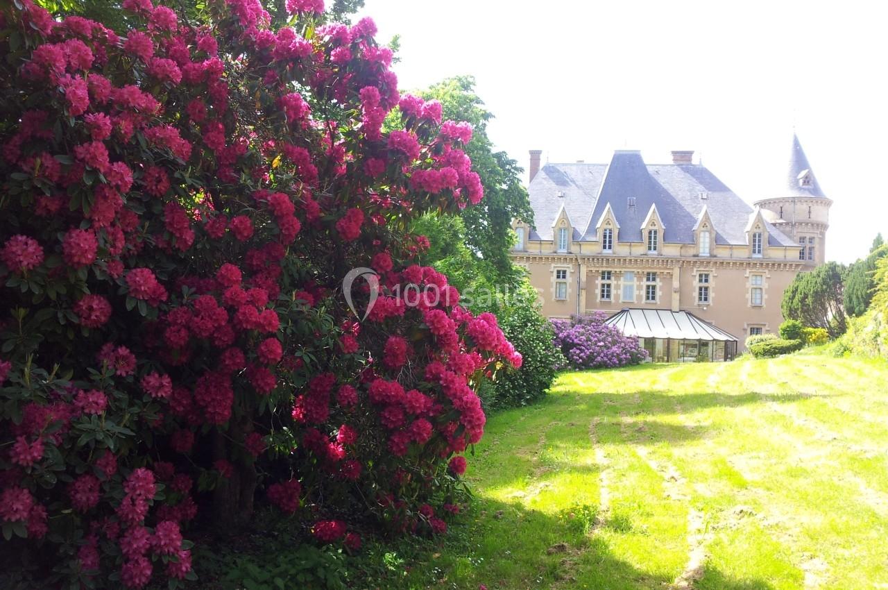 Massif de rhododendrons en fleurs au premier plan, avec un château en arrière-plan entouré de verdure.