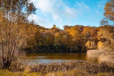 Outils en métal pour cheminée rangés dans un support cylindrique devant un pare-feu en métal.