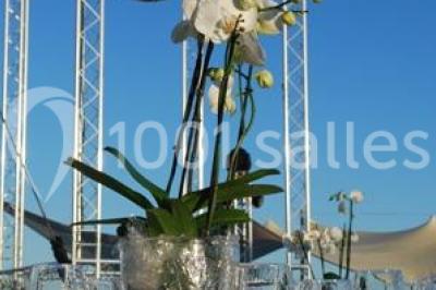 Location salle Antibes (Alpes-Maritimes) - Casino Joa La Siesta #14