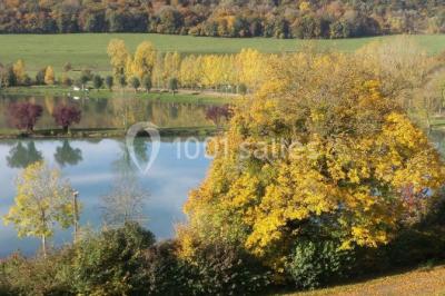 Paysage automnal avec un lac entouré de collines boisées et d'arbres aux feuilles colorées.