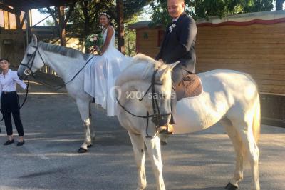 Salle en bois avec des bancs alignés sur un sol en gazon synthétique, décorée de fleurs suspendues.