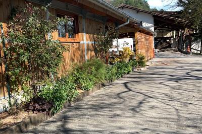 Salle en bois avec des bancs alignés sur un sol en gazon synthétique, décorée de fleurs suspendues.