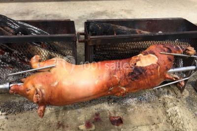Salle en bois avec des bancs alignés sur un sol en gazon synthétique, décorée de fleurs suspendues.