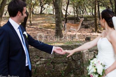 Location salle Soumont (Hérault) - Prieuré Saint Michel De Grandmont #16