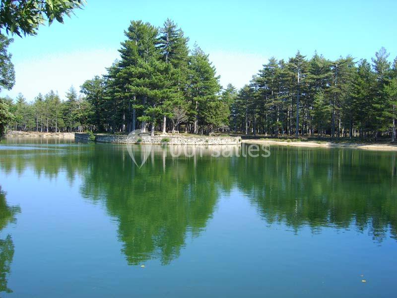 Location salle Soumont (Hérault) - Prieuré Saint Michel De Grandmont #15