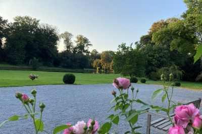 Miniature Location salle Hannut (Liège) - Château d'Avin #8 Manoir blanc entouré de pelouses et d'arbres, avec un étang au premier plan reflétant le bâtiment.